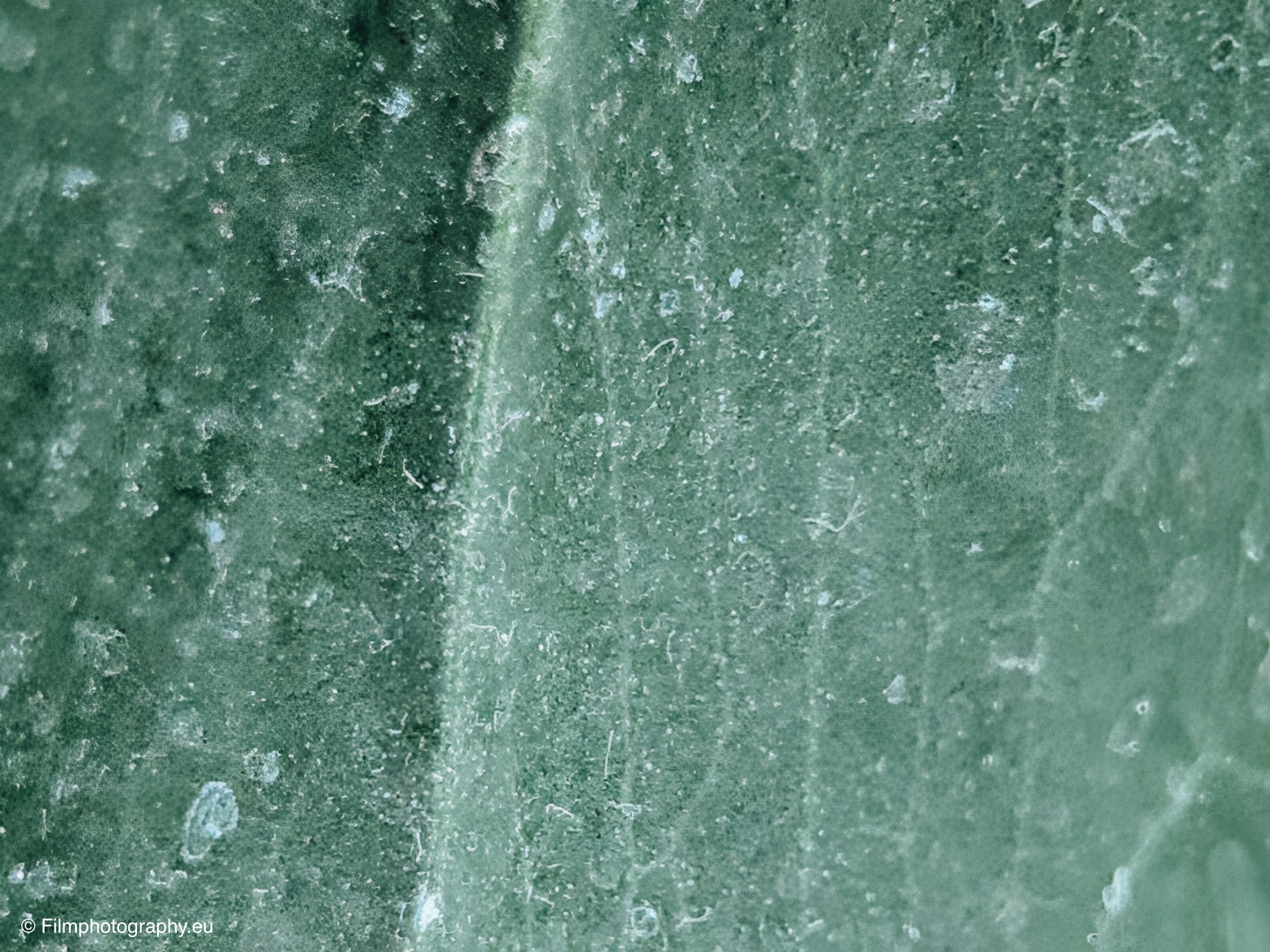 fotorgear-retro-series-tele-lens-macro-review-15