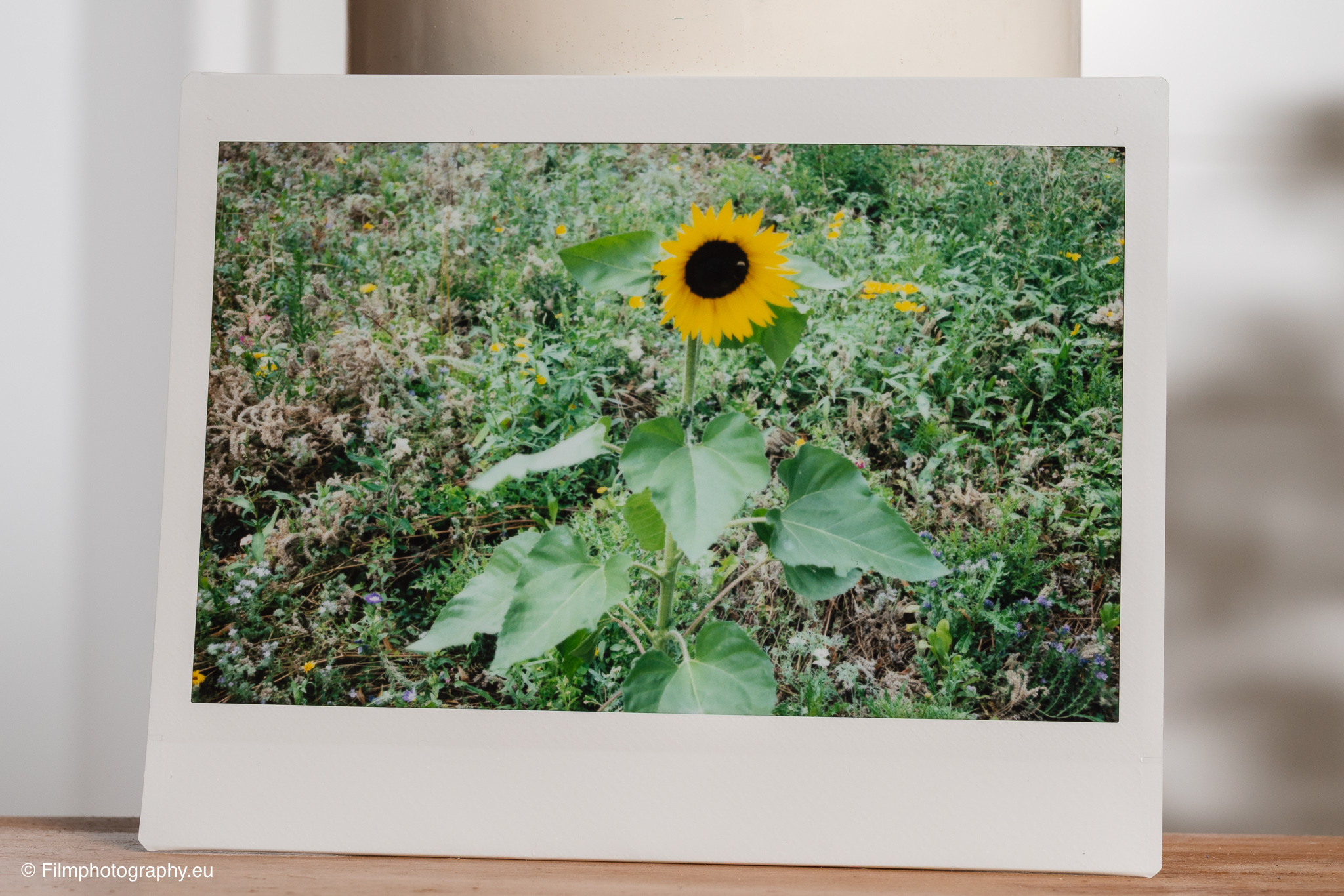 fujifilm-instax-wide-400-review-sample-photos-2