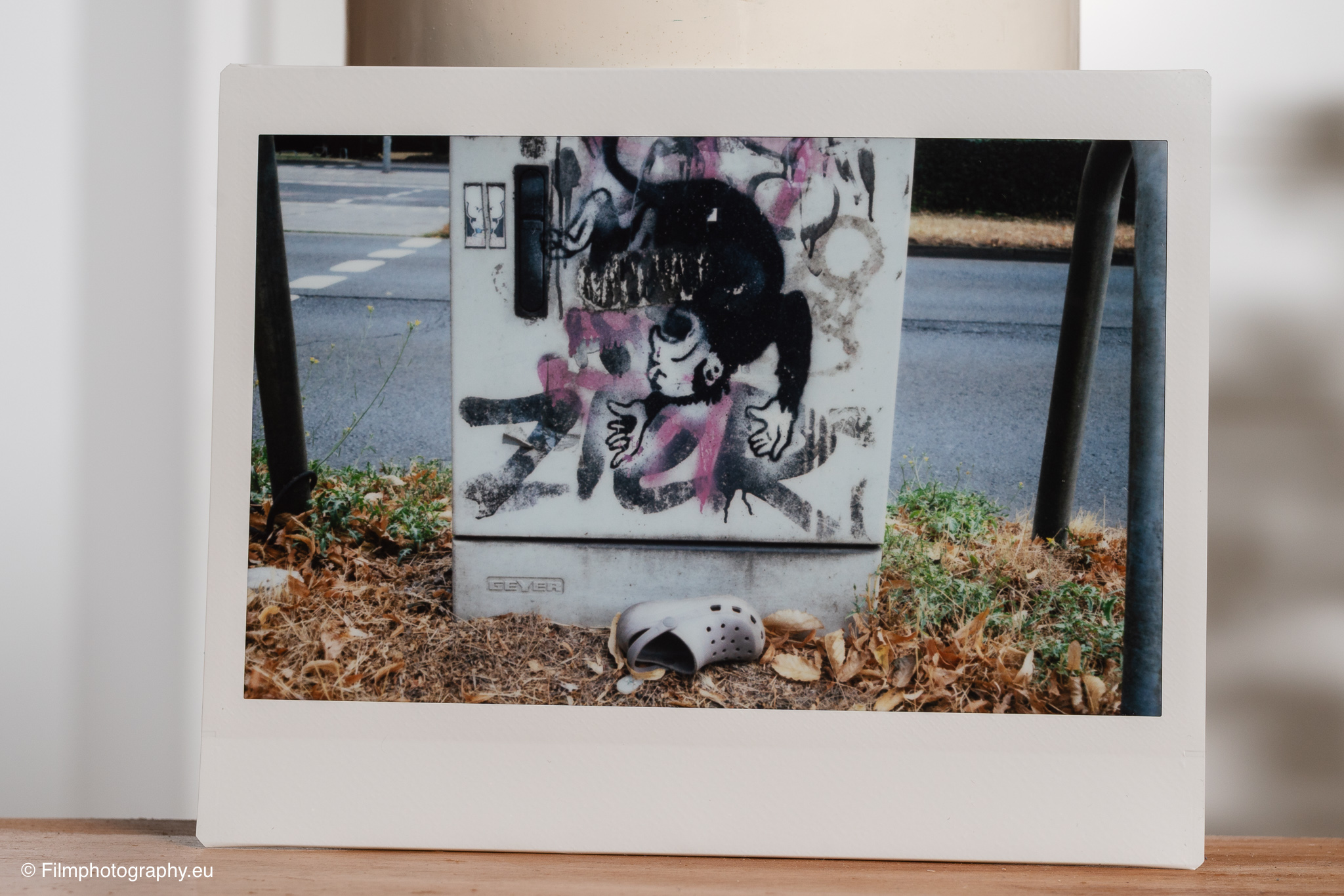 fujifilm-instax-wide-400-review-sample-photos-3