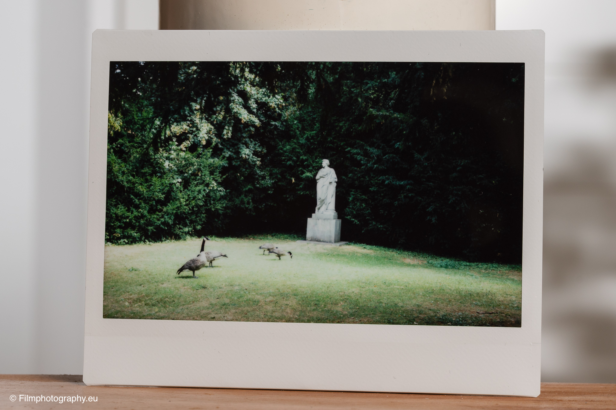 fujifilm-instax-wide-400-review-sample-photos-8