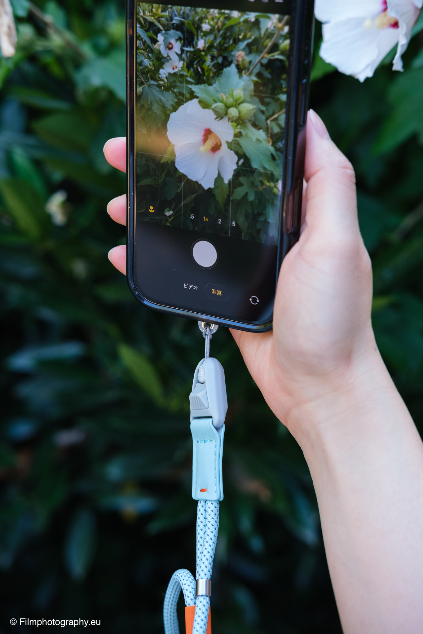 pgytech-linkgo-smartphone-camera-photography-strap-review-18